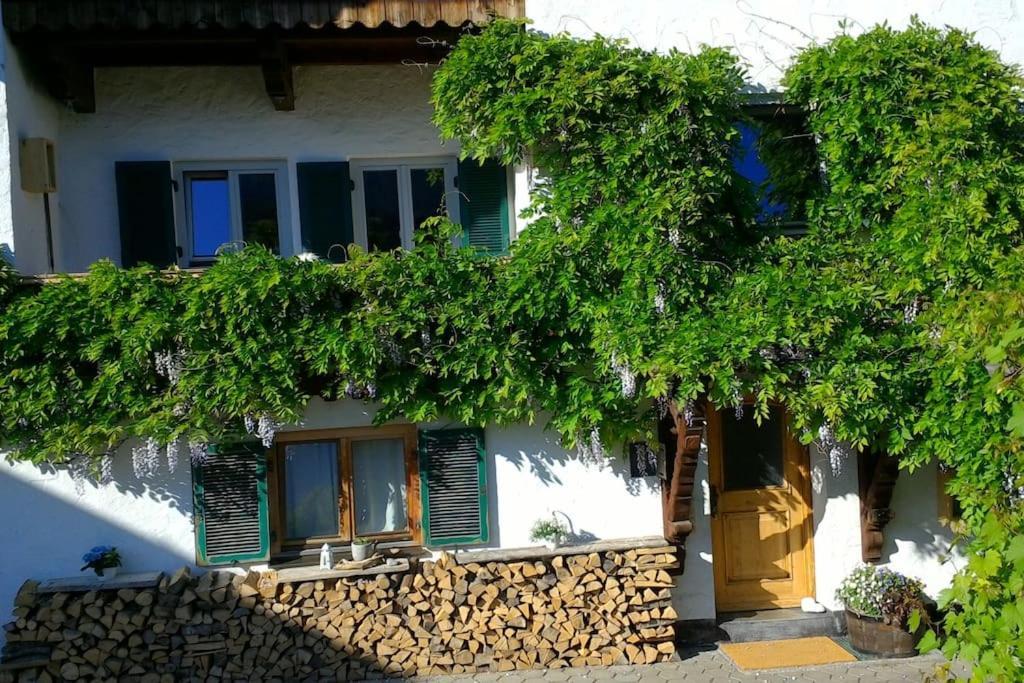 Herberge. 46 Гармиш-Партенкирхен Экстерьер фото
